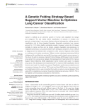 A Genetic Folding Strategy Based Support Vector Machine to Optimize Lung Cancer Classification