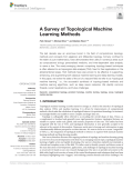 A Survey of Topological Machine Learning Methods