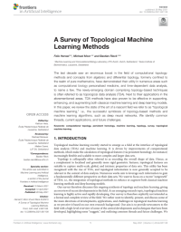 A Survey of Topological Machine Learning Methods