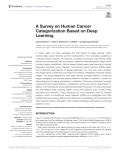 A Survey on Human Cancer Categorization Based on Deep Learning