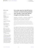 Accurate species identification of food-contaminating beetles with quality-improved elytral images and deep learning