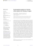 Automated analysis of whole slide digital skin biopsy images