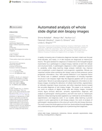 Automated analysis of whole slide digital skin biopsy images