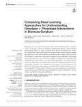Comparing Deep Learning Approaches for Understanding Genotype × Phenotype Interactions in Biomass Sorghum