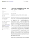 Configural relations in humans and deep convolutional neural networks