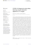 COVID-19 diagnosis using deep learning neural networks applied to CT images