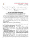FruVegy: An Android App for the Automatic Identification of Fruits and Vegetables using Computer Vision and Machine Learning