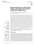 Human Autonomy in Future Drone Traffic: Joint Human–AI Control in Temporal Cognitive Work