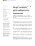 Interpretable machine learning for predicting pathologic complete response in patients treated with chemoradiation therapy for rectal adenocarcinoma