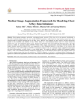 Medical Image Augmentation Framework for Resolving Chest X-Ray Data Imbalance