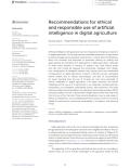 Recommendations for ethical and responsible use of artificial intelligence in digital agriculture