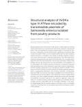 Structural analysis of VirD4 a type IV ATPase encoded by transmissible plasmids of Salmonella enterica isolated from poultry products