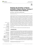 Studying the Evolution of Neural Activation Patterns During Training of Feed-Forward ReLU Networks