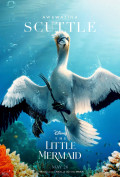 The Scuttlebutt