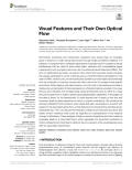 Visual Features and Their Own Optical Flow