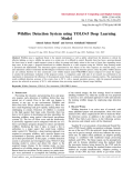 Wildfire Detection System using YOLOv5 Deep Learning Model